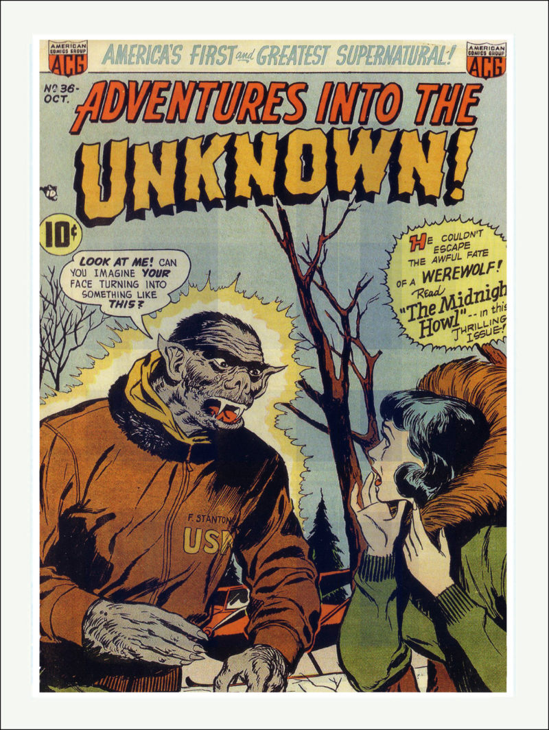 Adventures into the Unknown Comics