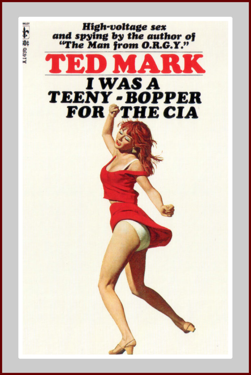 Teeny Bopper for the CIA Novel