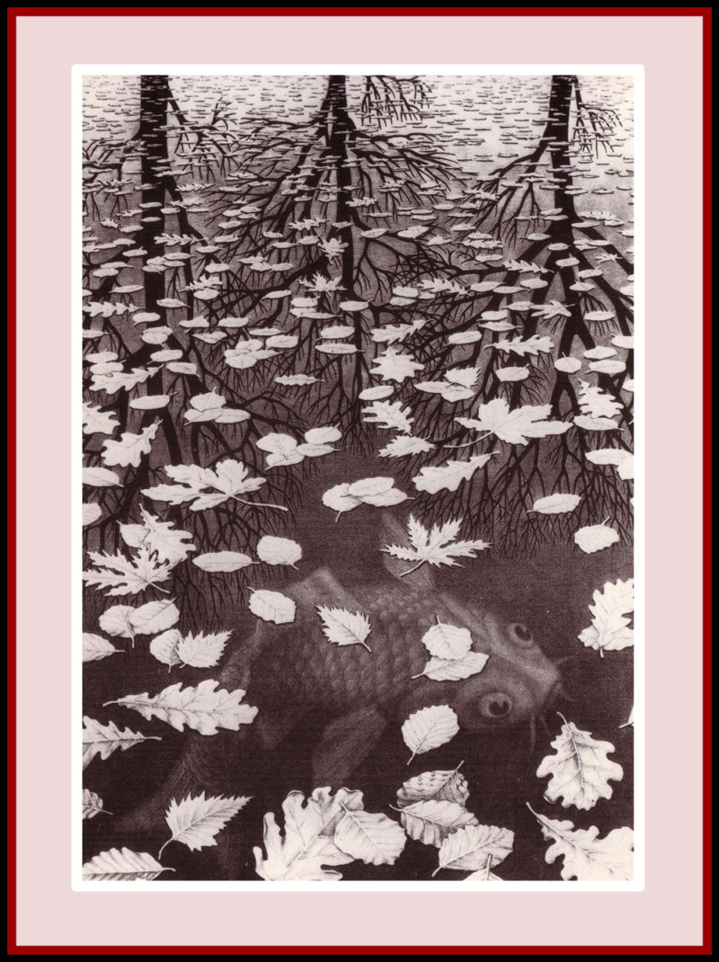 M.C. Escher